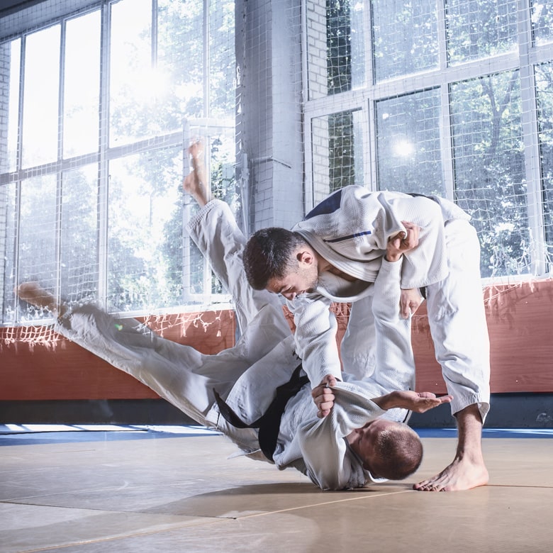 Мастер-класс дзюдо Мастер-класс дзюдо