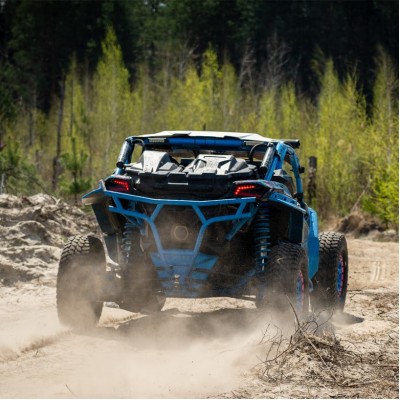 Прогулка на багги