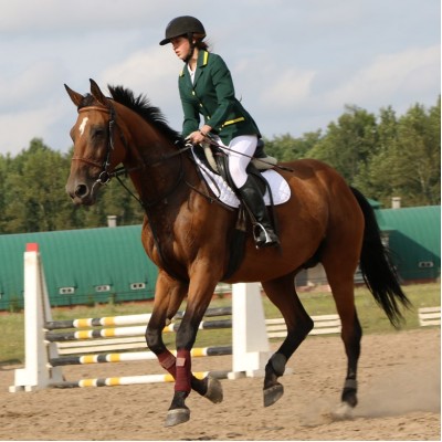 Урок верховой езды