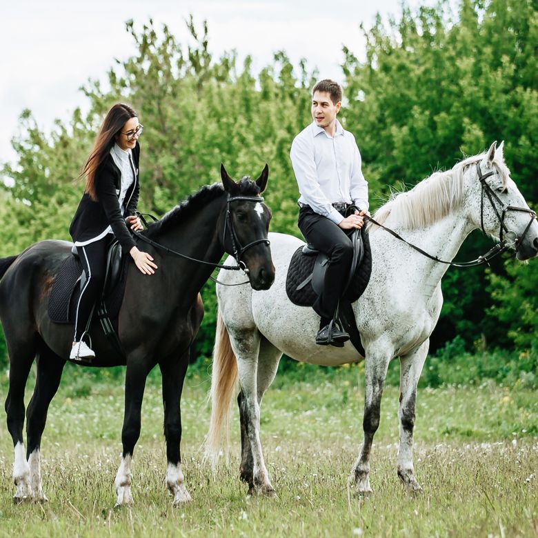 Урок верховой езды для двоих 