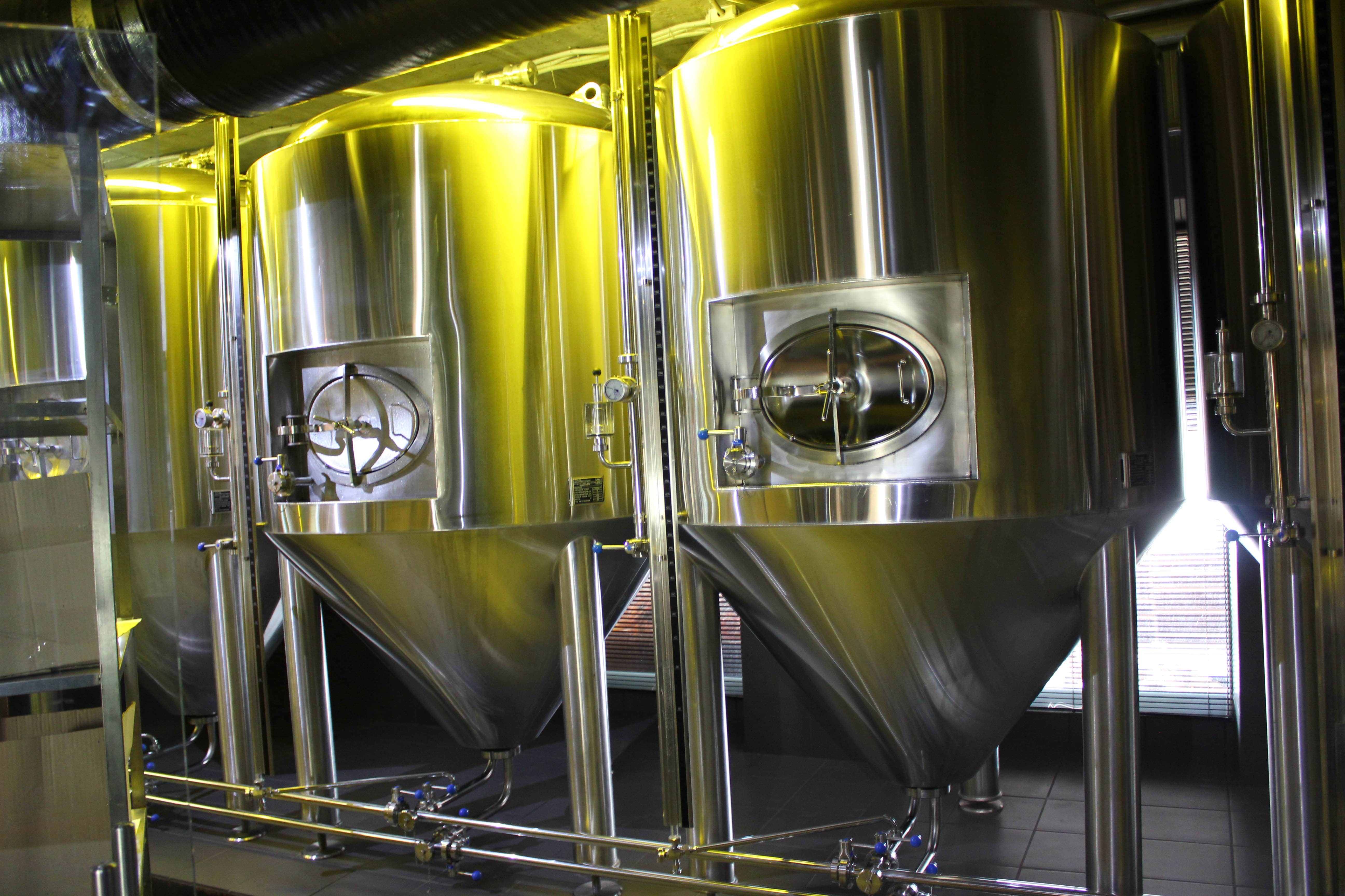 Пивная дума