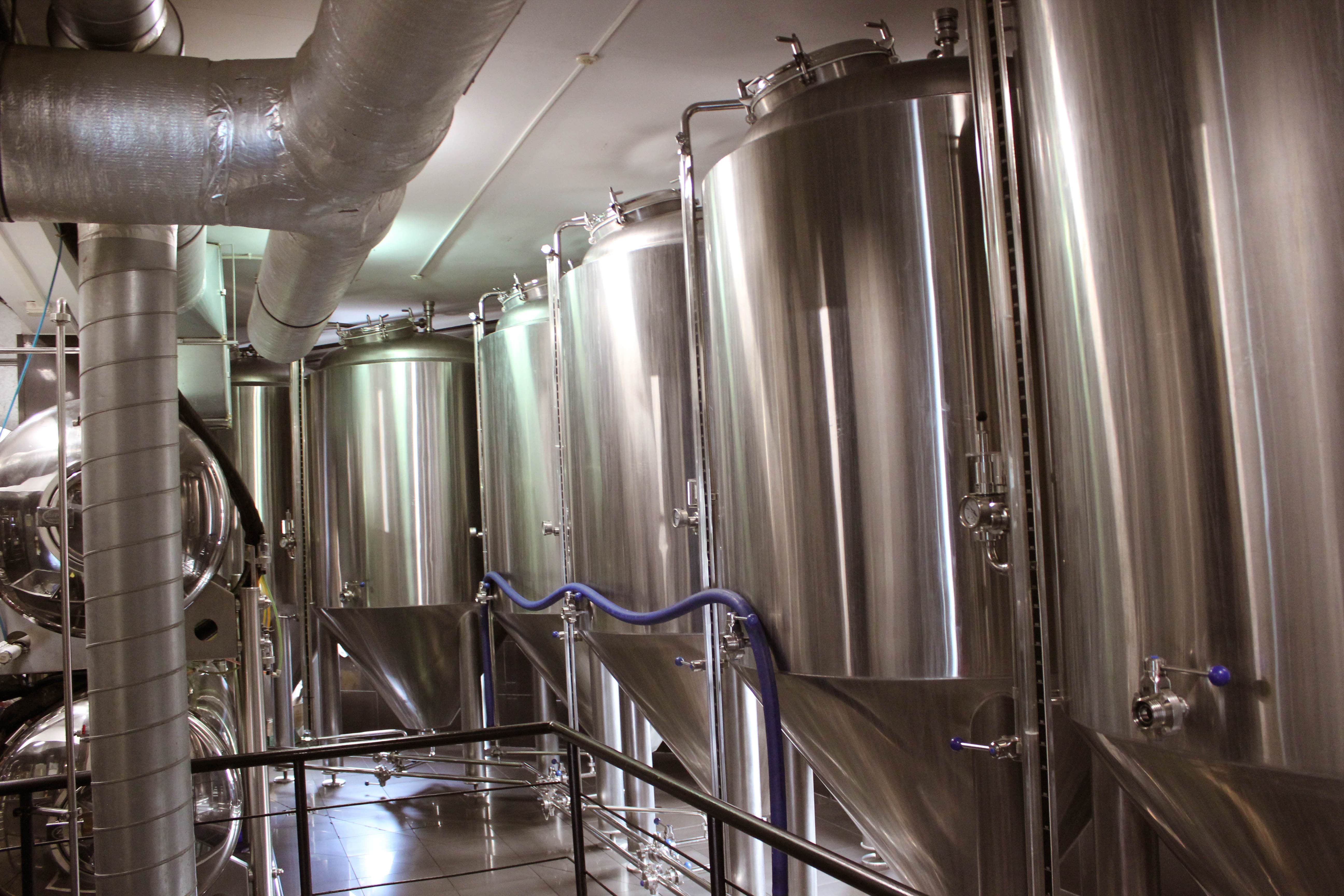 Пивная дума