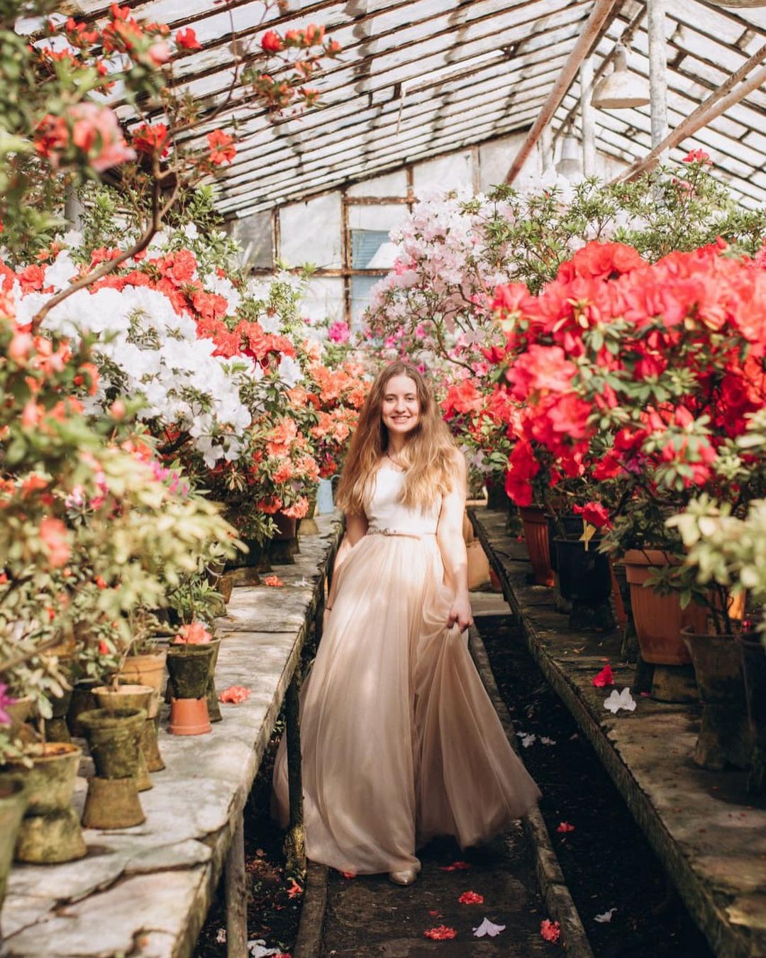 Фотосесія Open Air - фотостудія Pudra