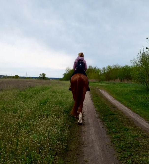 Конный клуб “Family horse club”