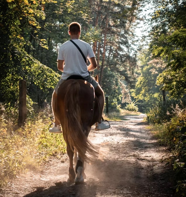 Конный клуб “Family horse club”