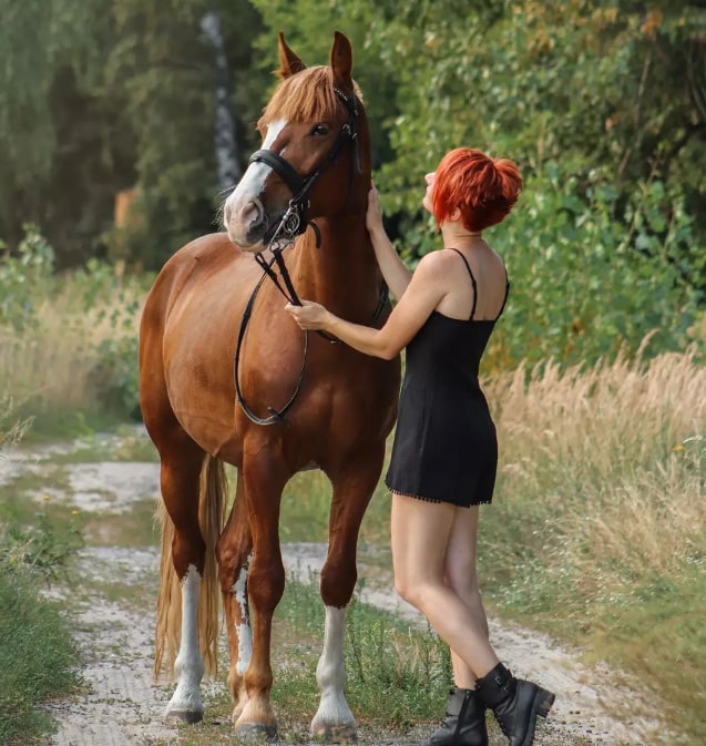 Конный клуб “Family horse club”