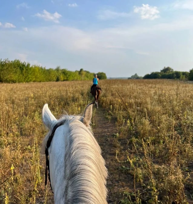 Конный клуб “Family horse club”