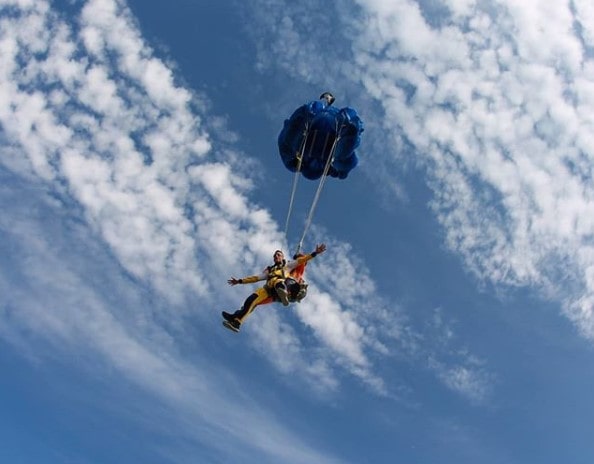 Paraskuf - Чайка